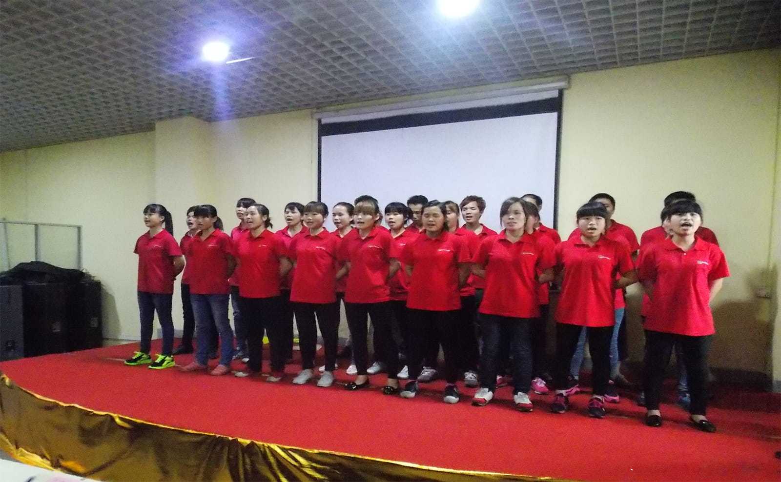 Team Show